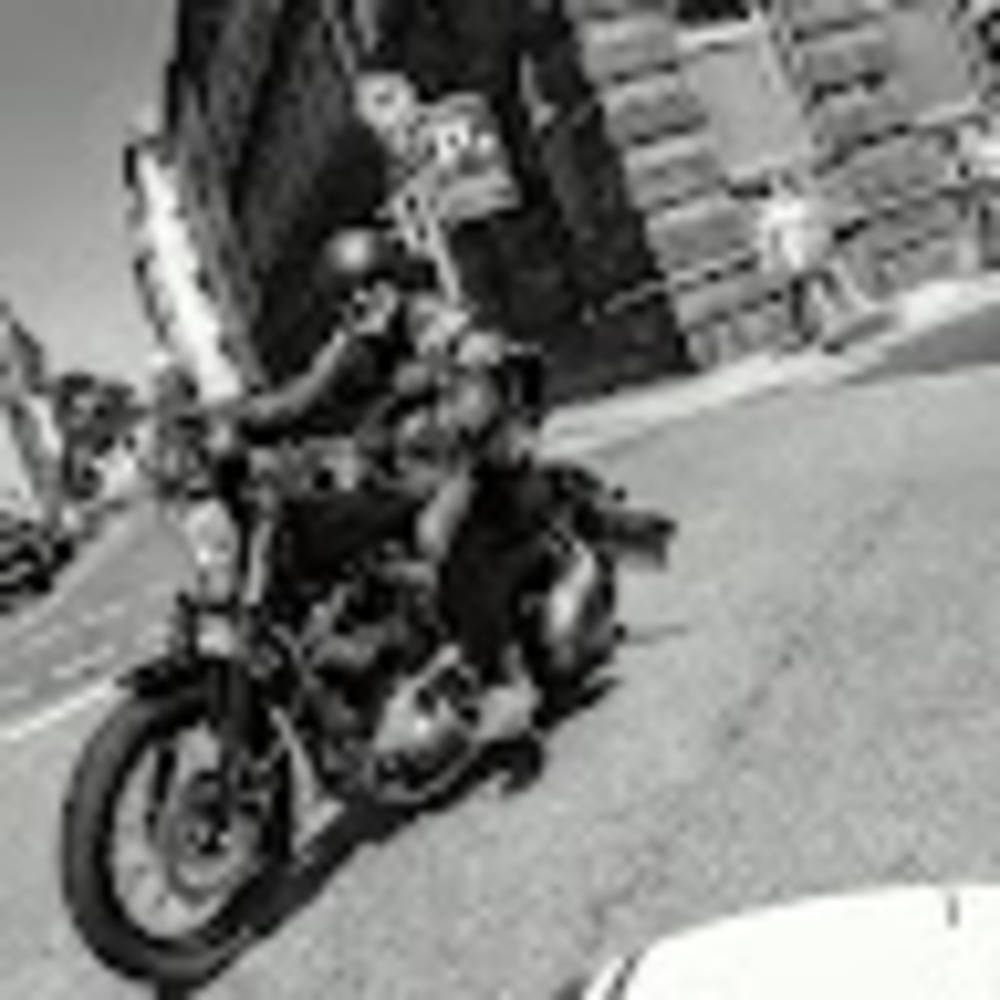 Meet your Posher, Oscar